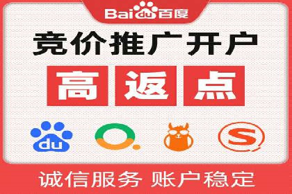 百度竞价广告投放策略：案例分析及效果评估